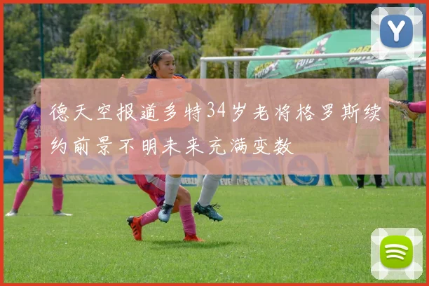 德天空报道多特34岁老将格罗斯续约前景不明未来充满变数