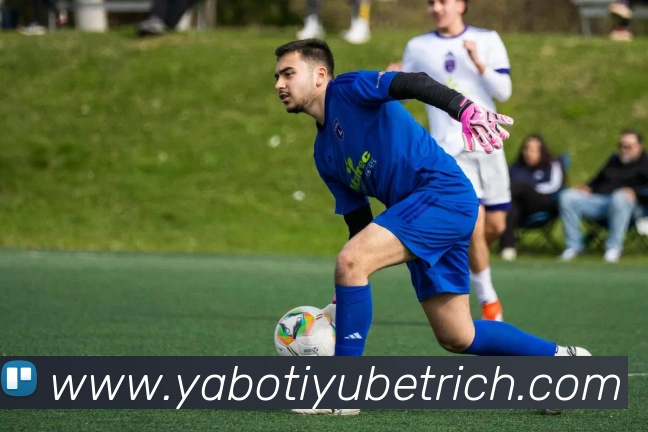 亚博体育APP 封面图